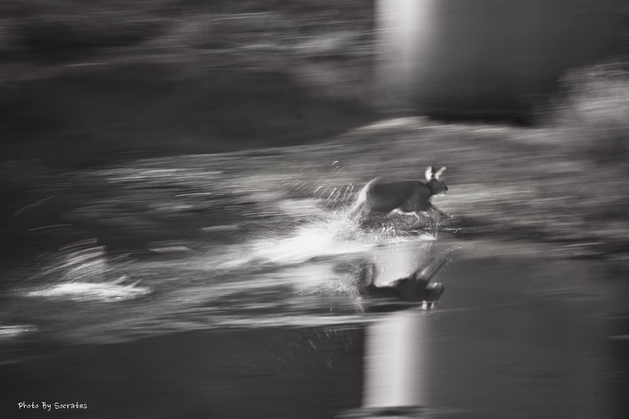 Canon EF 100-400mm F4.5-5.6L IS USM sample photo. Break with the strange things photography