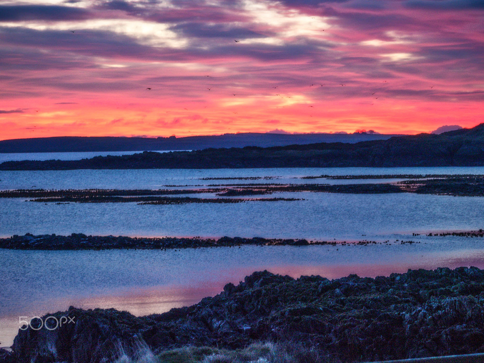 Olympus OM-D E-M5 sample photo. Sunrise over copeland photography