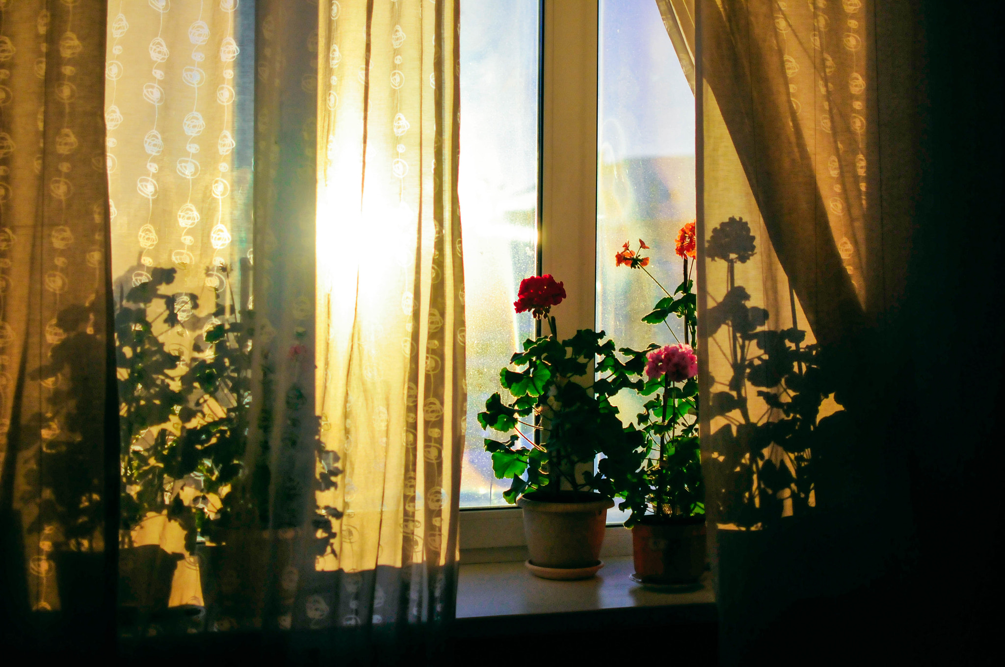 Nikon D300S + Nikon AF-S DX Nikkor 35mm F1.8G sample photo. Dsc photography