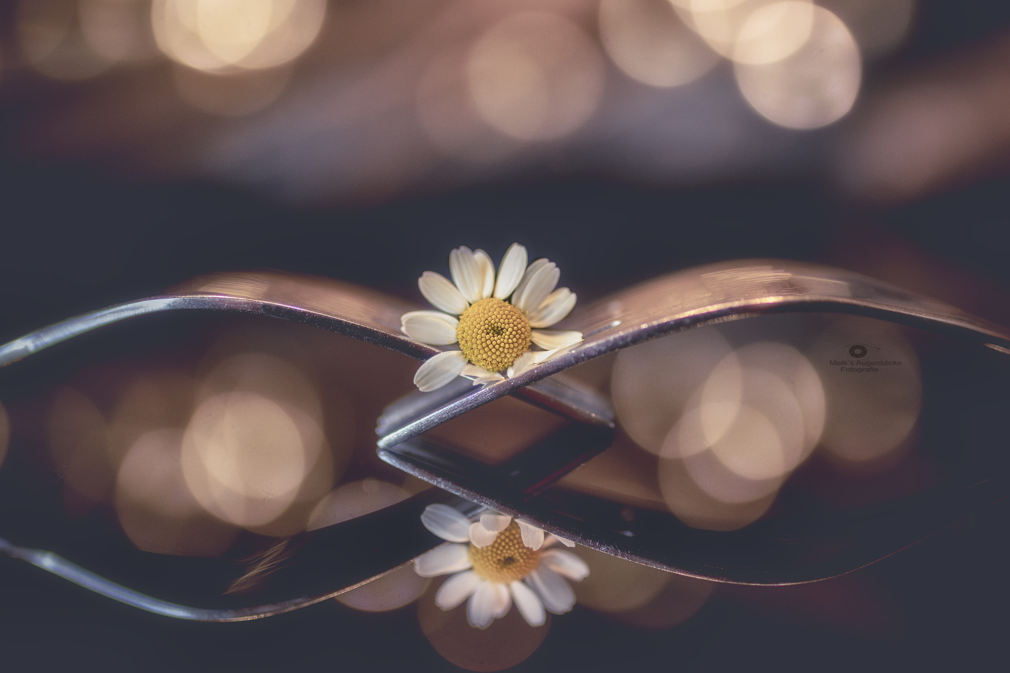 Sigma 35mm F1.4 DG HSM Art sample photo. Two forks and a flower photography