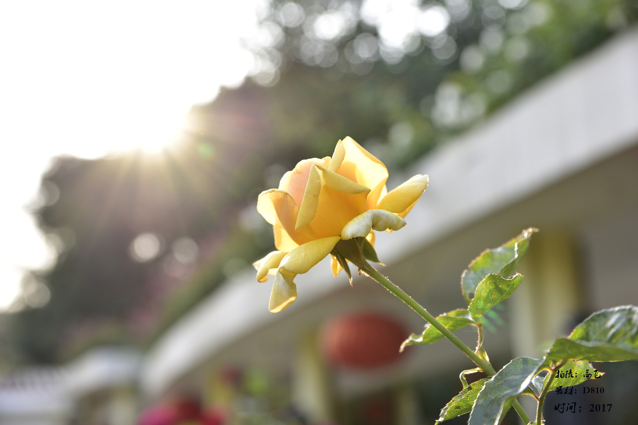 Sigma 24-70mm F2.8 EX DG HSM sample photo