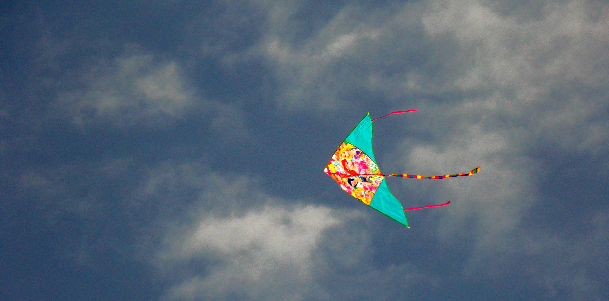 Nikon COOLPIX L320 sample photo. Kite photography