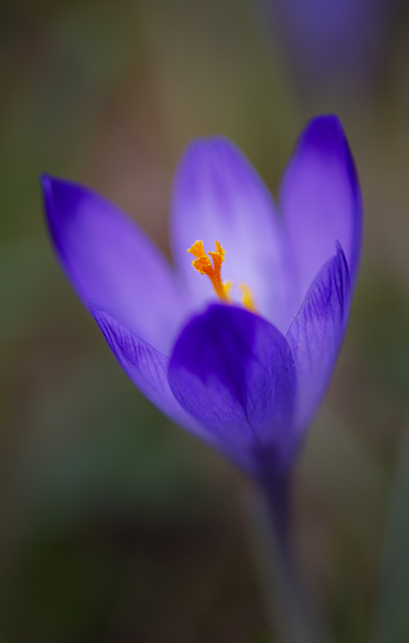Sigma 105mm F2.8 EX DG OS HSM sample photo. Sunrise photography
