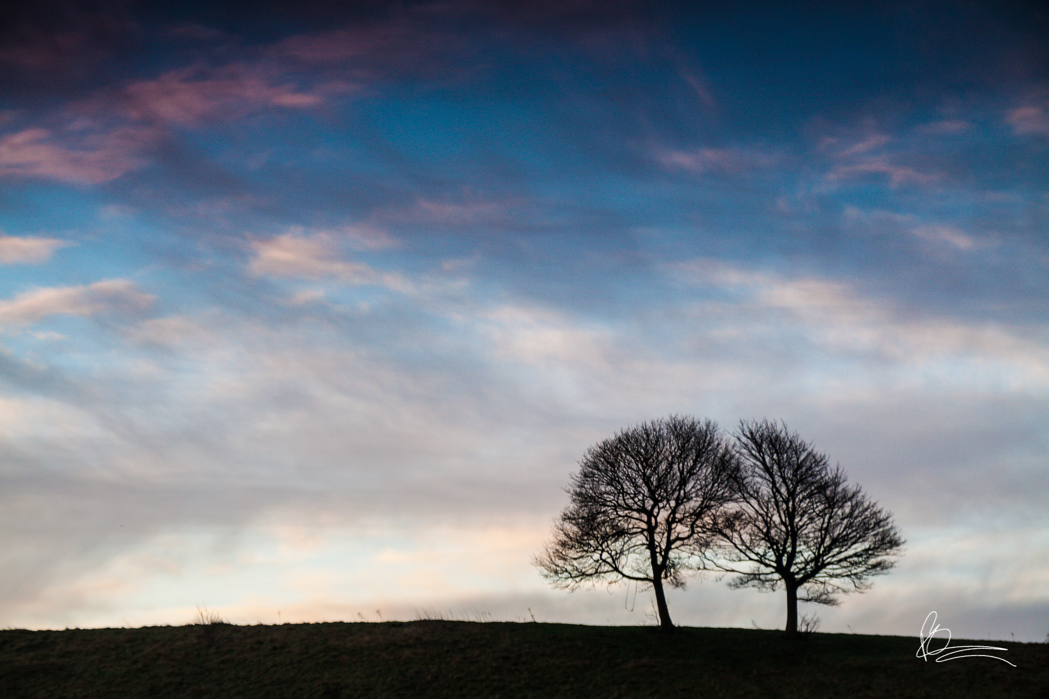 Sigma 18-200mm f/3.5-6.3 DC OS sample photo. Trees on the hill photography