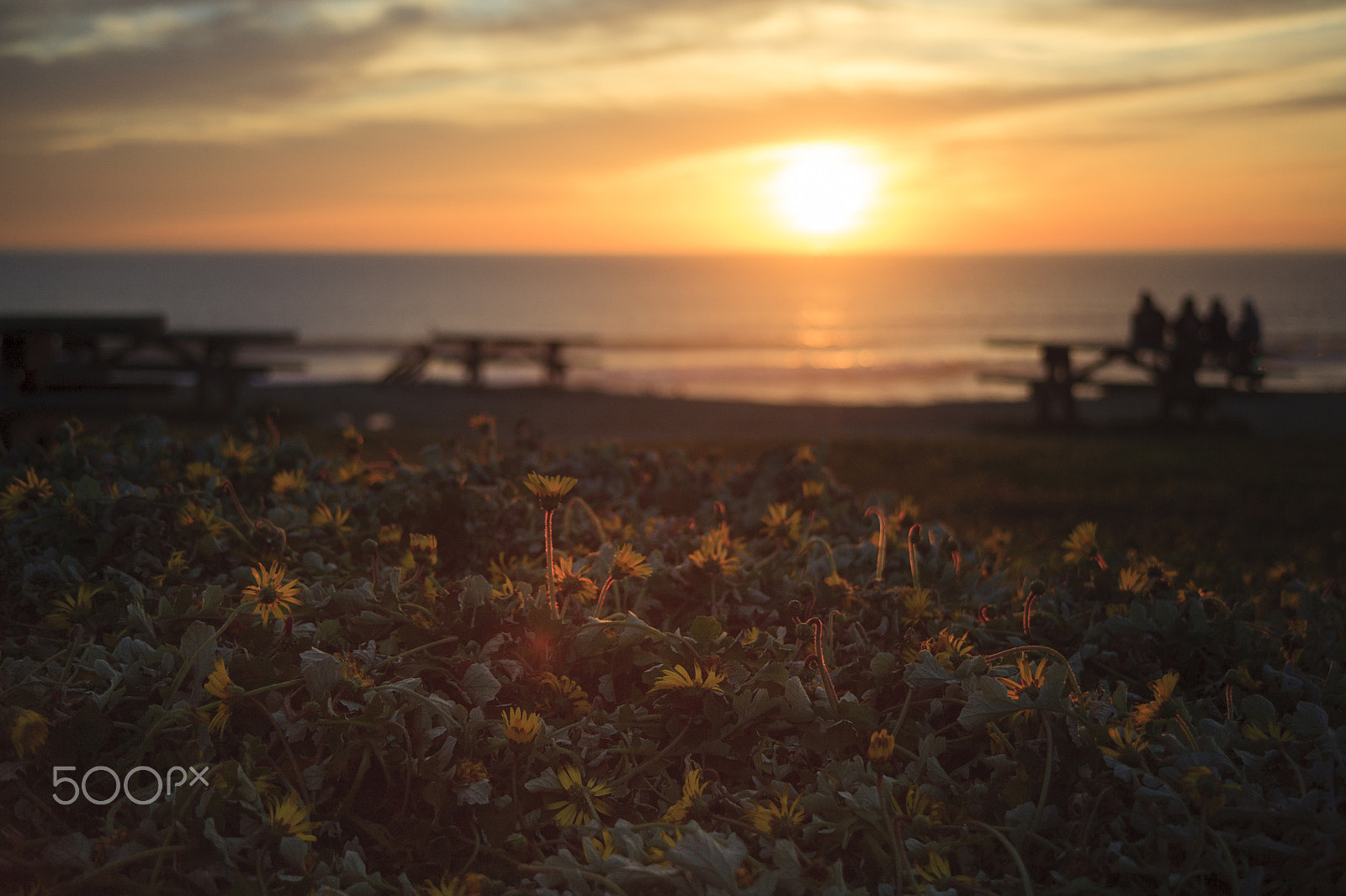 Canon EF 35-135mm f/4-5.6 USM sample photo. Sunset over the pacific ocean photography