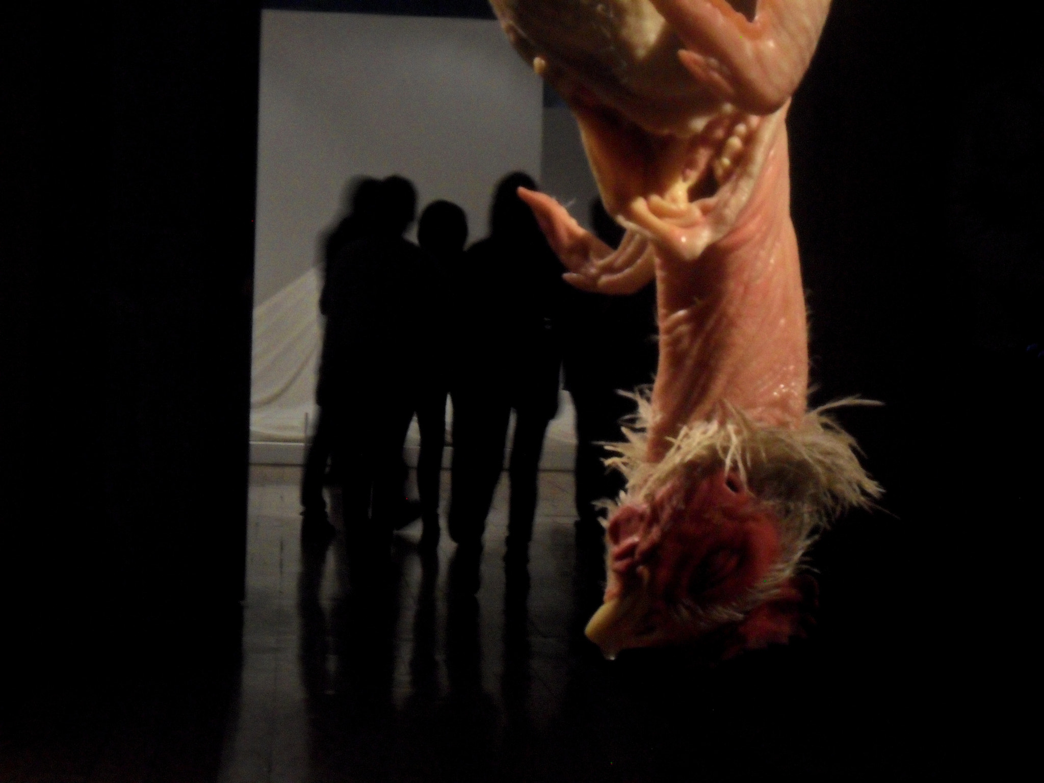 Samsung ES73 / VLUU ES73 /  SL605 sample photo. Ron mueck in san idelfonso (2011) photography