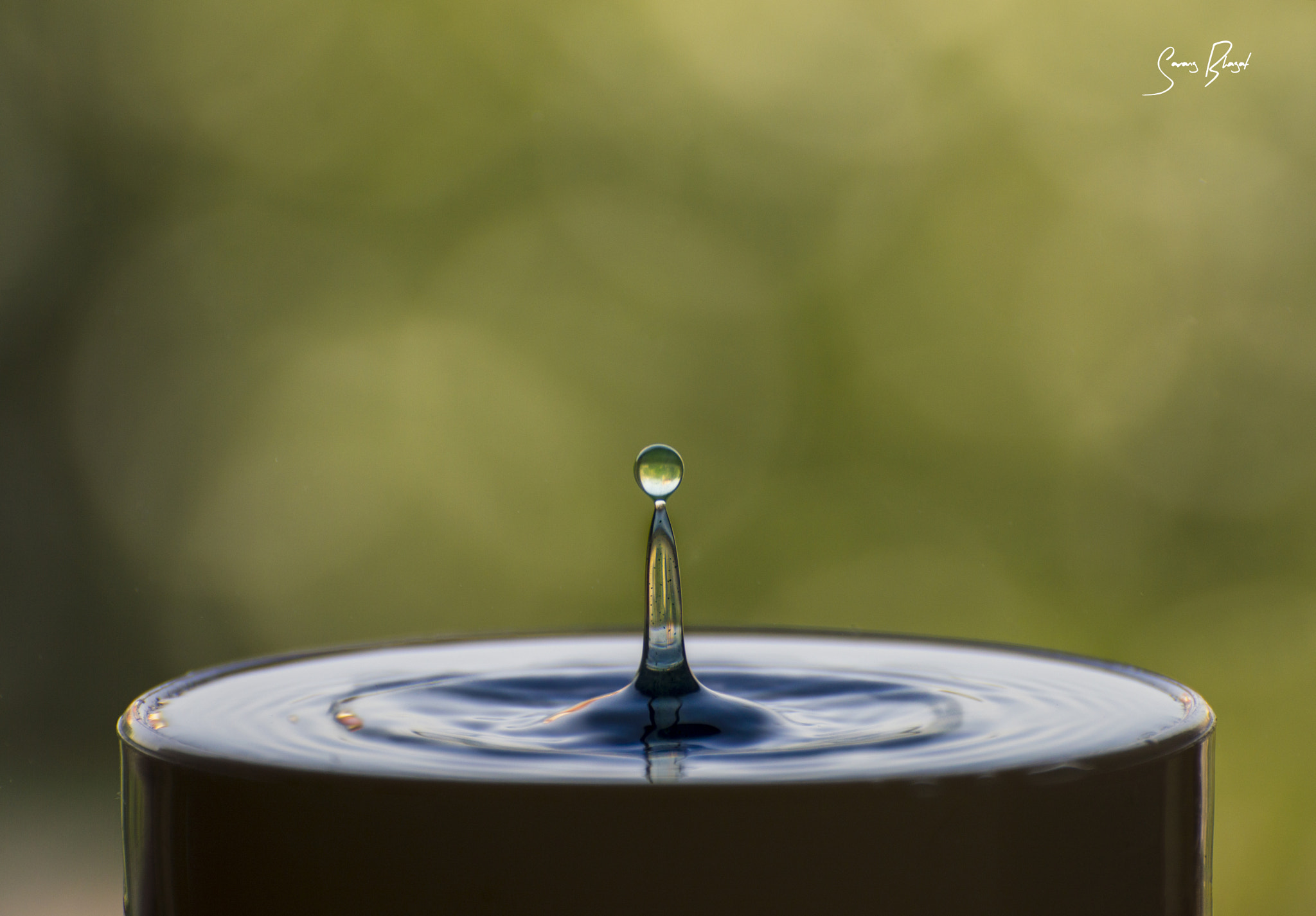Nikon D3200 sample photo. Tiny pleasures photography