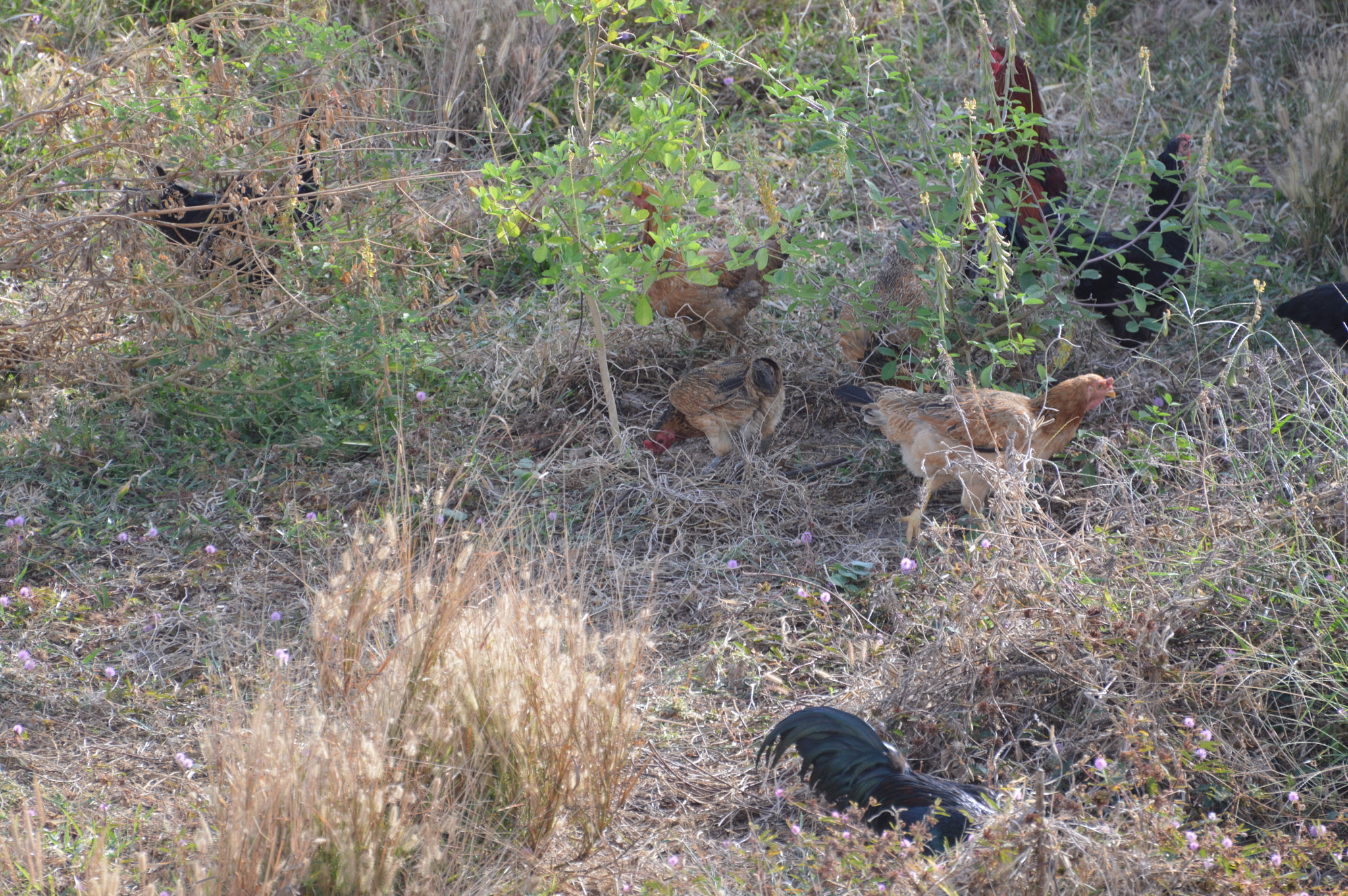 Nikon D3200 sample photo