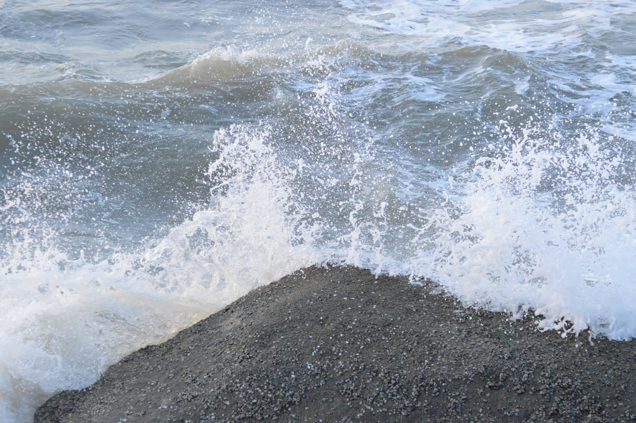 Nikon D3200 sample photo