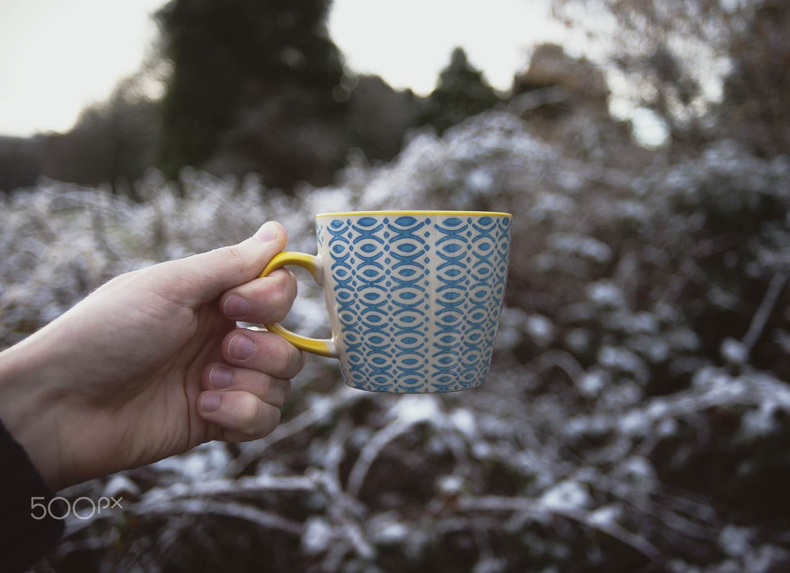 AF Zoom-Nikkor 28-80mm f/3.3-5.6G sample photo. Earl grey in the snow photography