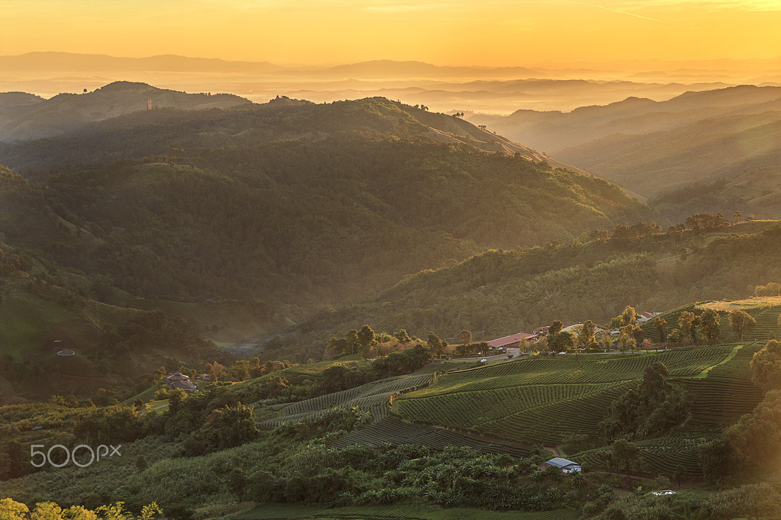 Canon EOS 500D (EOS Rebel T1i / EOS Kiss X3) + Sigma 18-200mm f/3.5-6.3 DC OS sample photo. Good morning doi mae salong photography