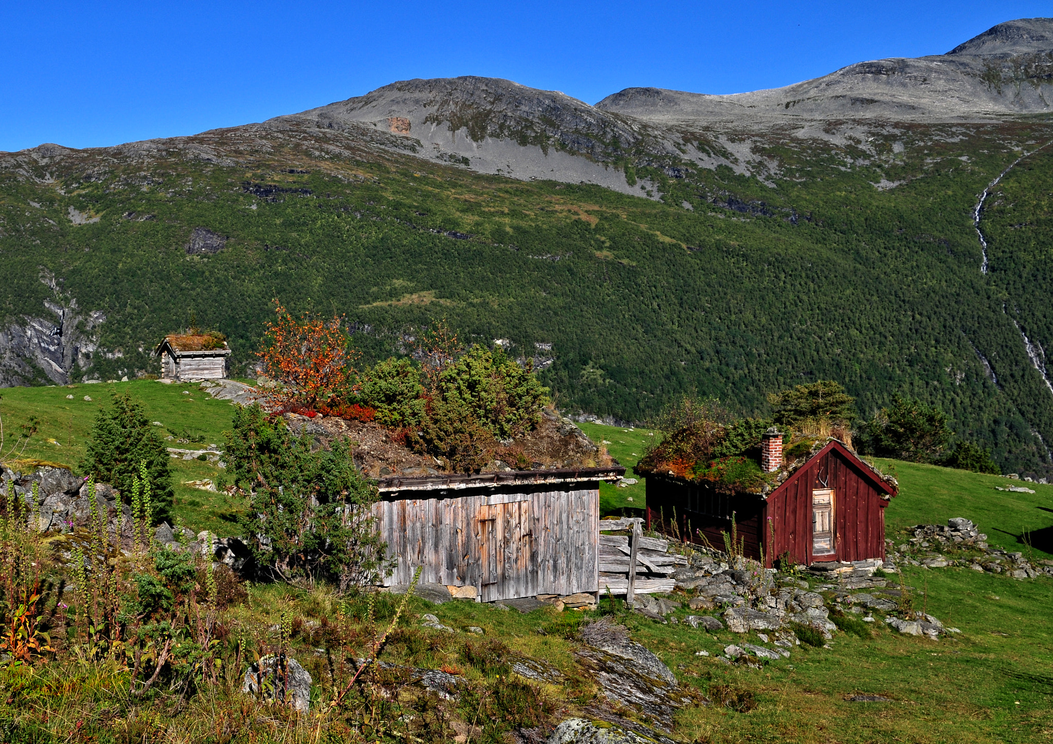 Nikon D300 sample photo. The mountainfarm photography