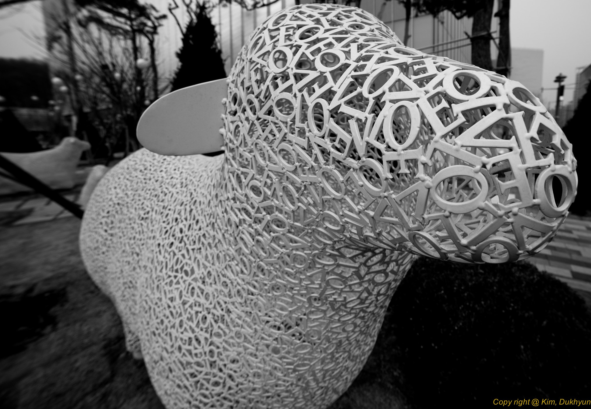 A Series Lens sample photo. Sheep in love photography
