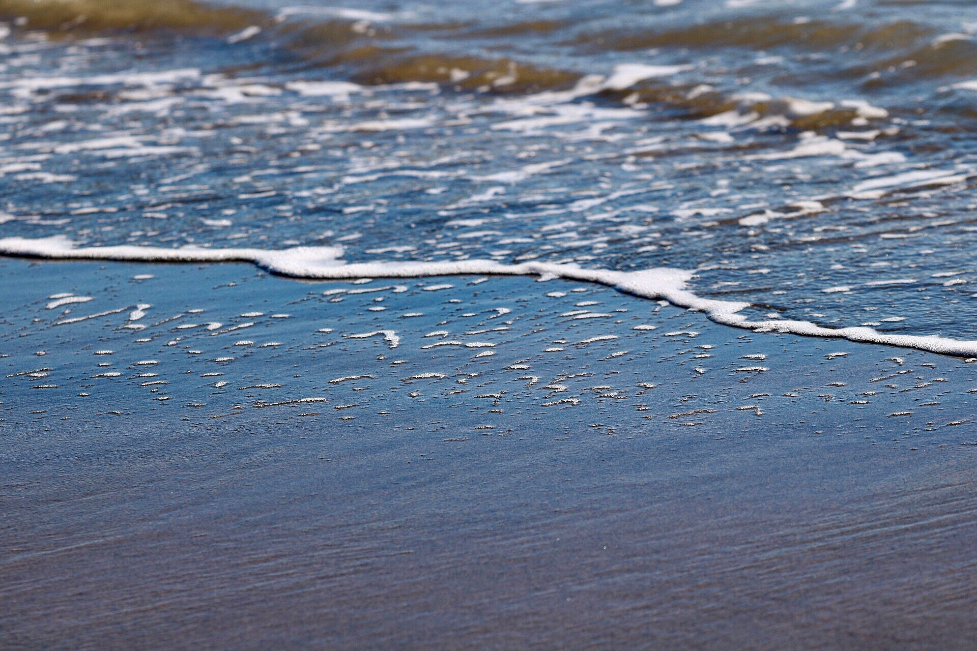 Sigma APO Macro 150mm f/2.8 EX DG HSM sample photo. Mediterraneo photography