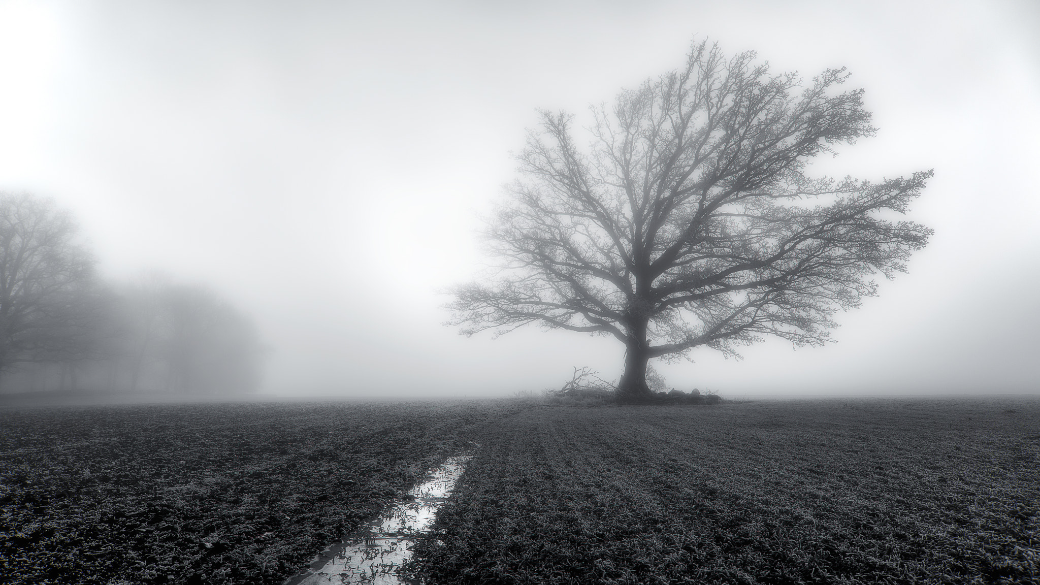 Sigma 24-70mm F2.8 EX DG HSM sample photo. Foggy photography
