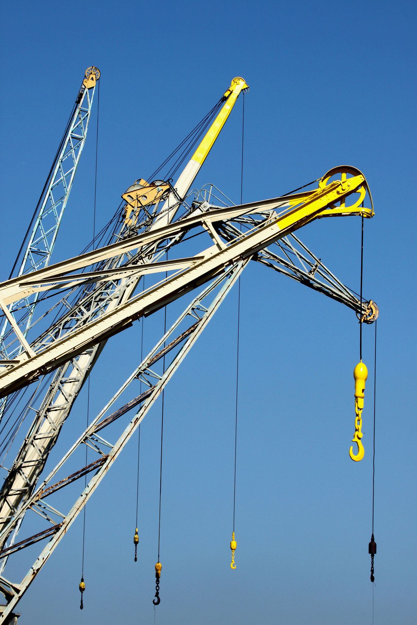 Canon EF 100-400mm F4.5-5.6L IS USM sample photo. Cranes of antwerp photography