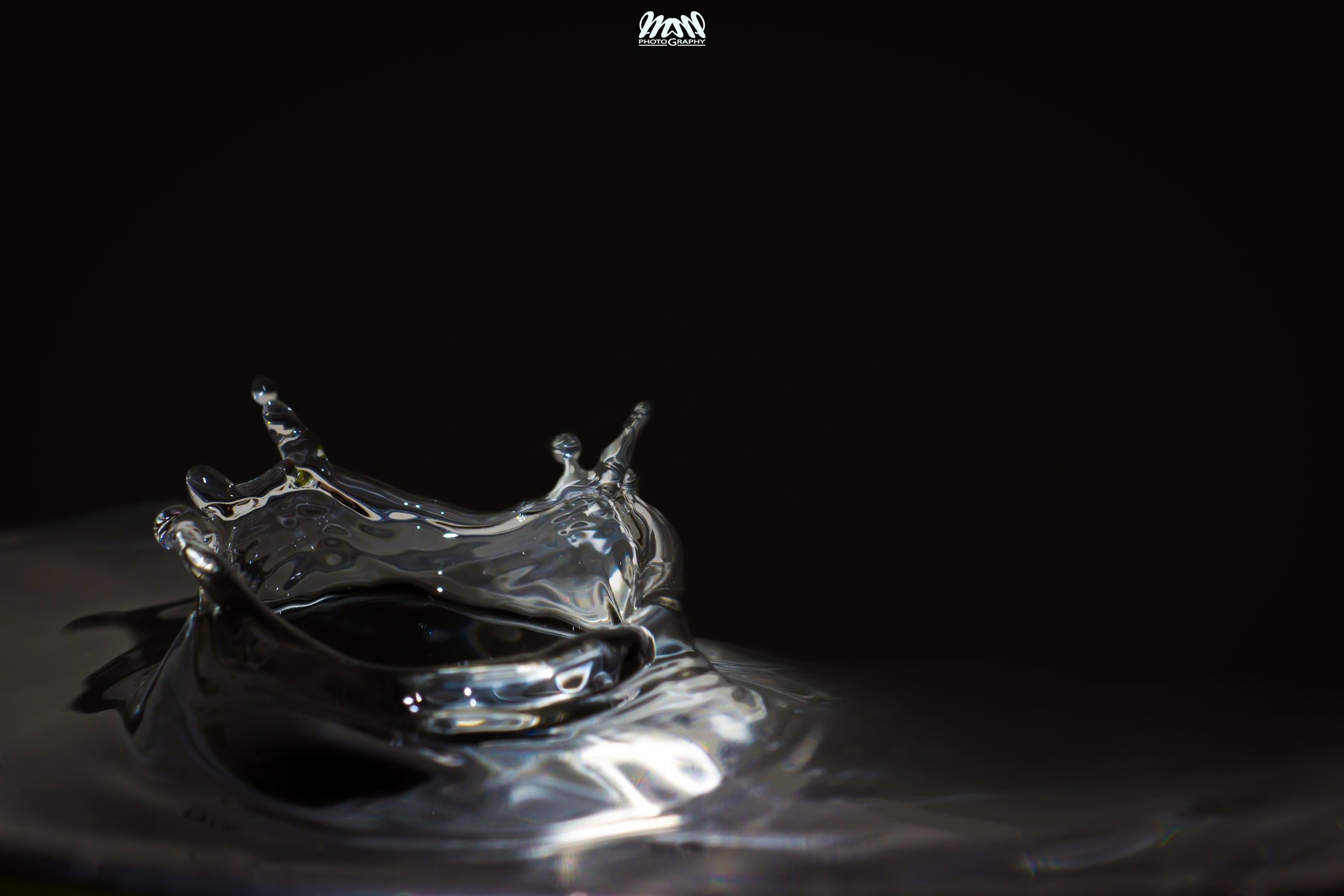 Canon EF 180mm F3.5L Macro USM sample photo. Bwsplash photography