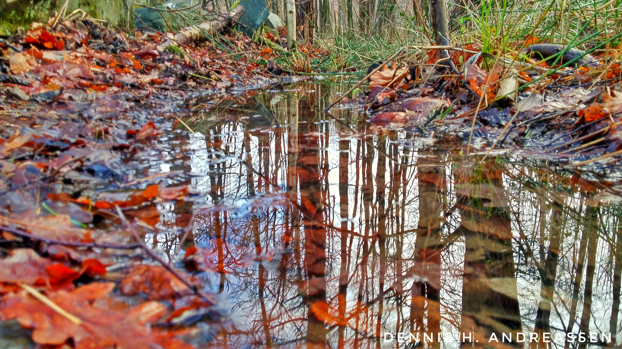 LG G FLEX2 sample photo. Kristiansand, norway photography