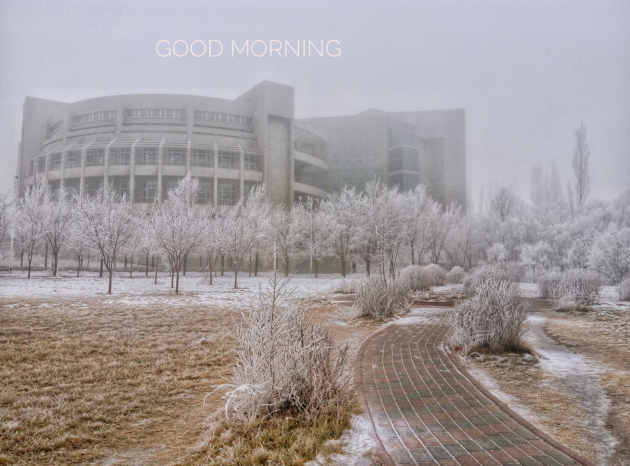 Meizu m1 note sample photo. Xinjiang university photography