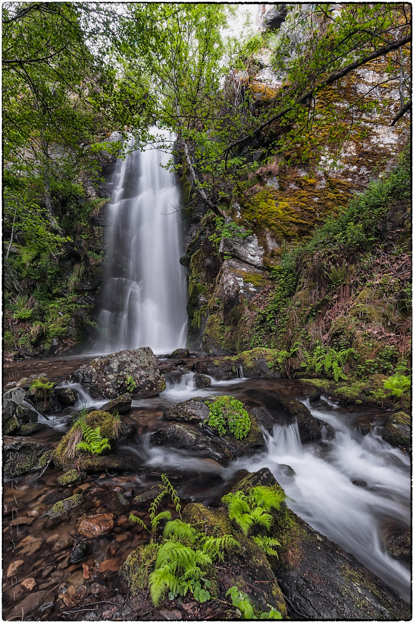 Nikon D300 + Sigma 10-20mm F3.5 EX DC HSM sample photo. Cantejeira fall photography