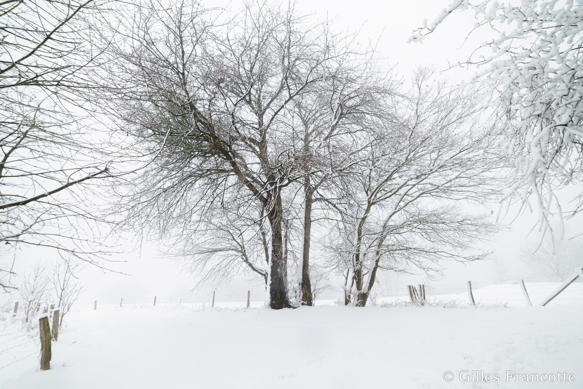 Samyang 14mm F2.8 ED AS IF UMC sample photo. Blizzard photography