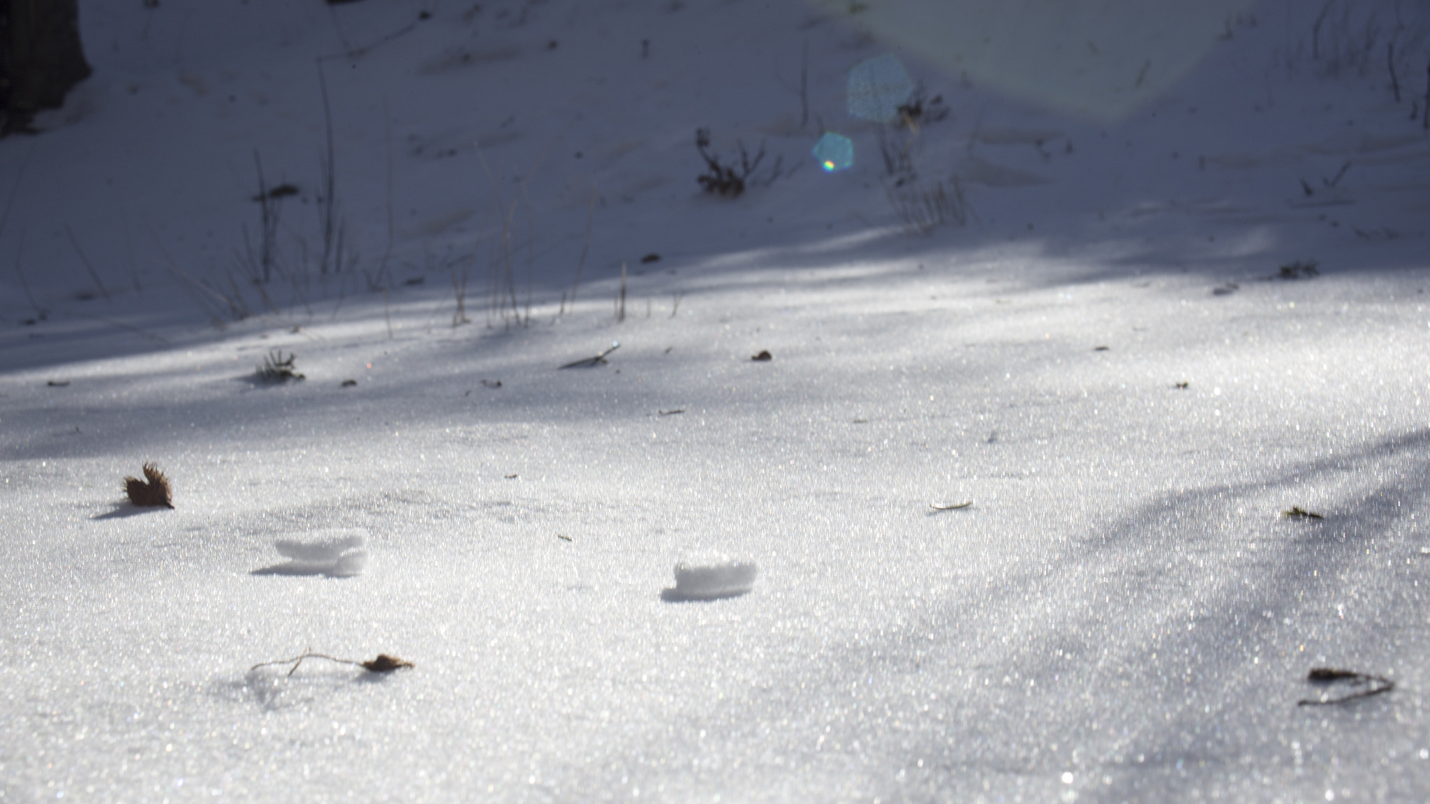 Canon EOS 6D sample photo. Snow photography
