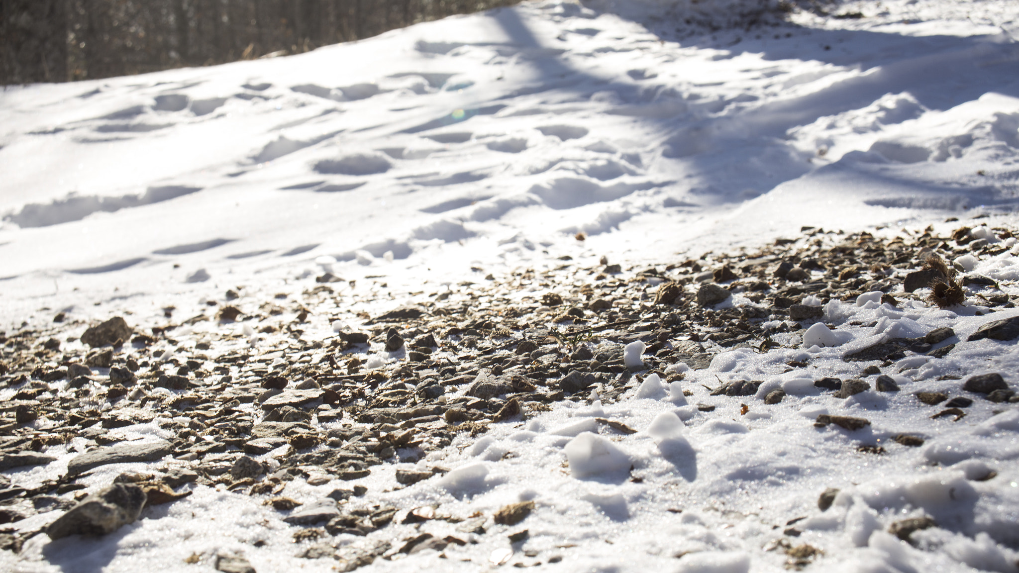 Canon EF 22-55mm f/4-5.6 USM sample photo. Path of pebbles photography