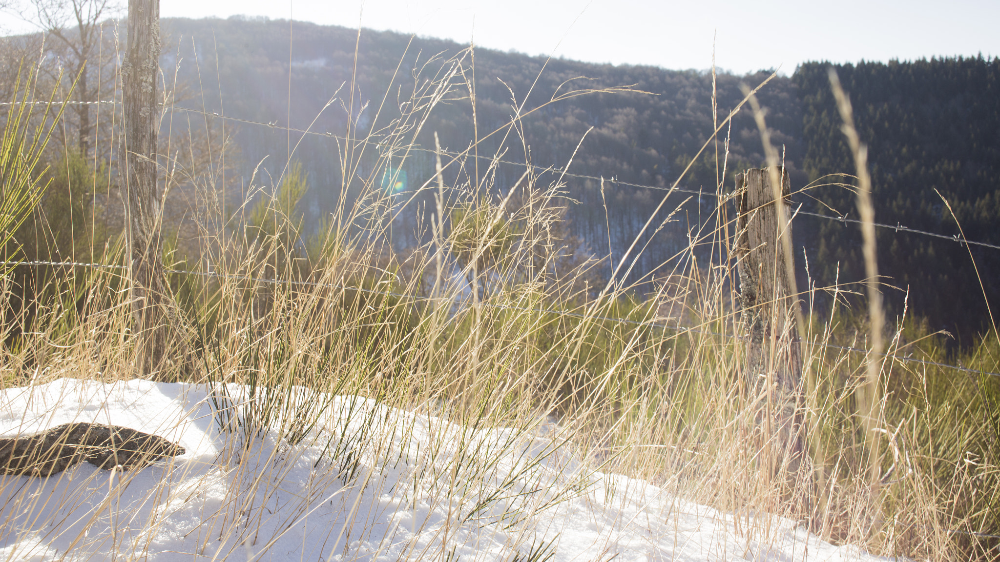 Canon EOS 6D + Canon EF 22-55mm f/4-5.6 USM sample photo. Twigs of snow photography