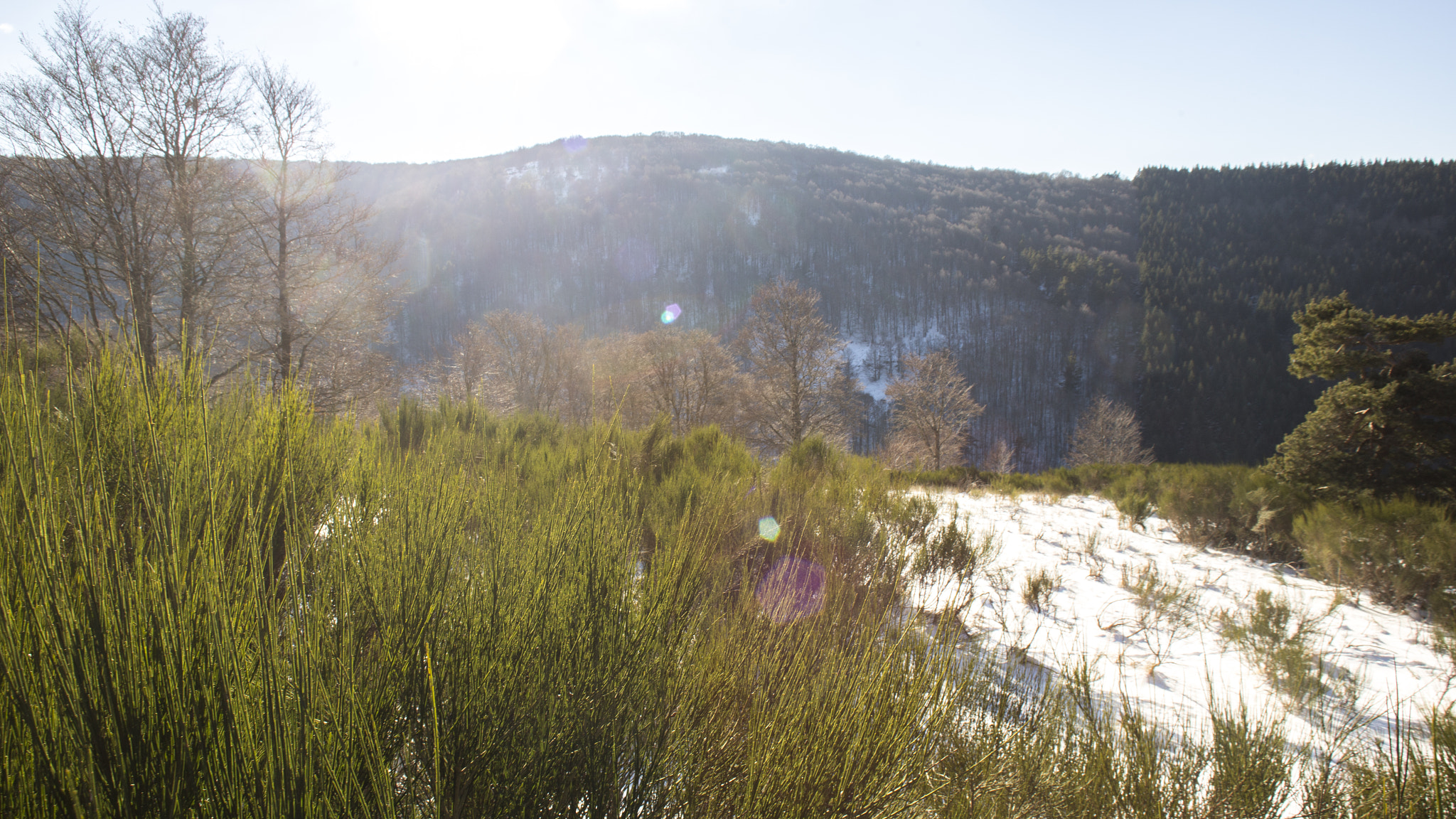 Canon EOS 6D + Canon EF 22-55mm f/4-5.6 USM sample photo. Snowy nature photography