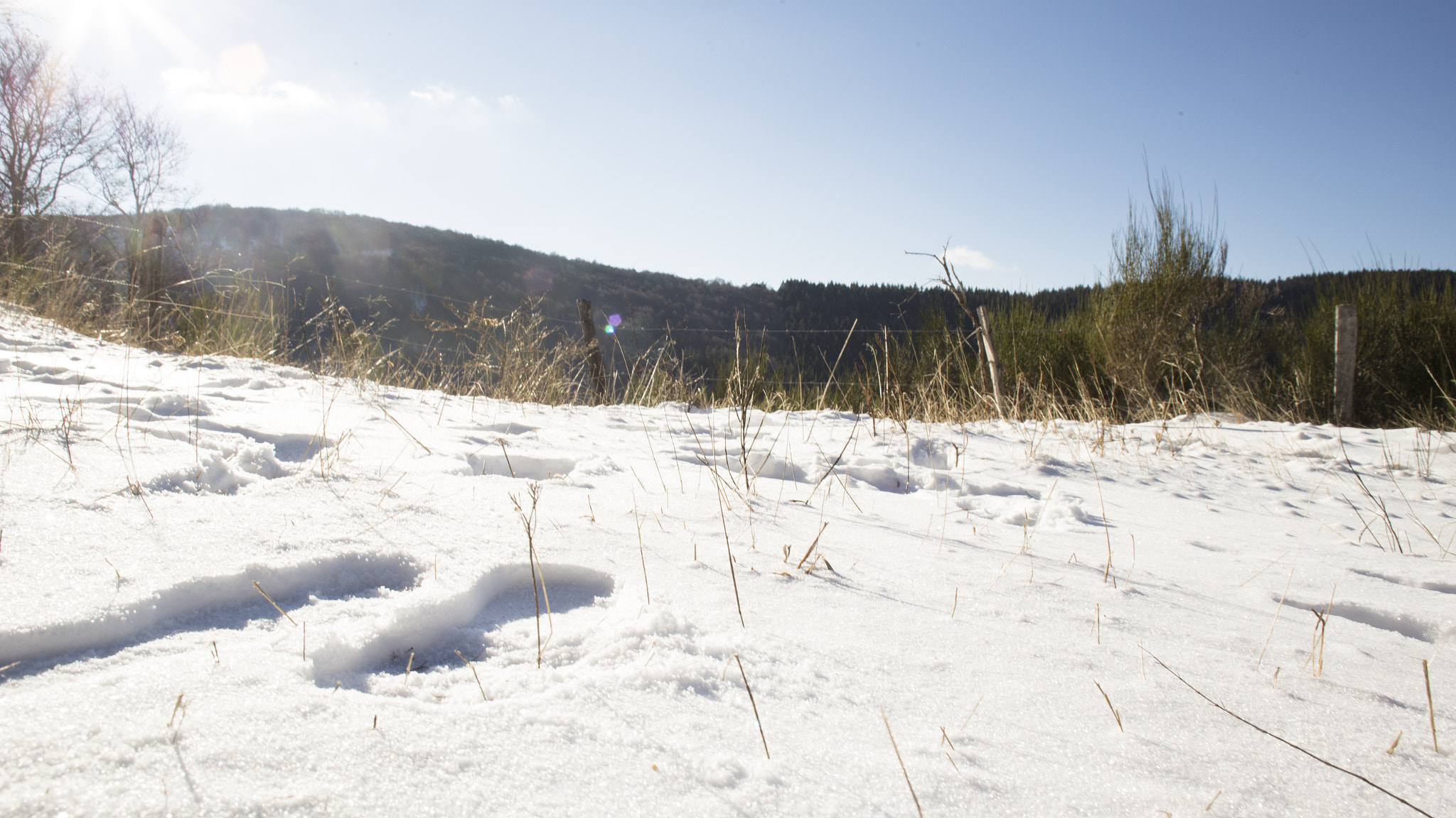 Canon EOS 6D sample photo. Glittering snow photography