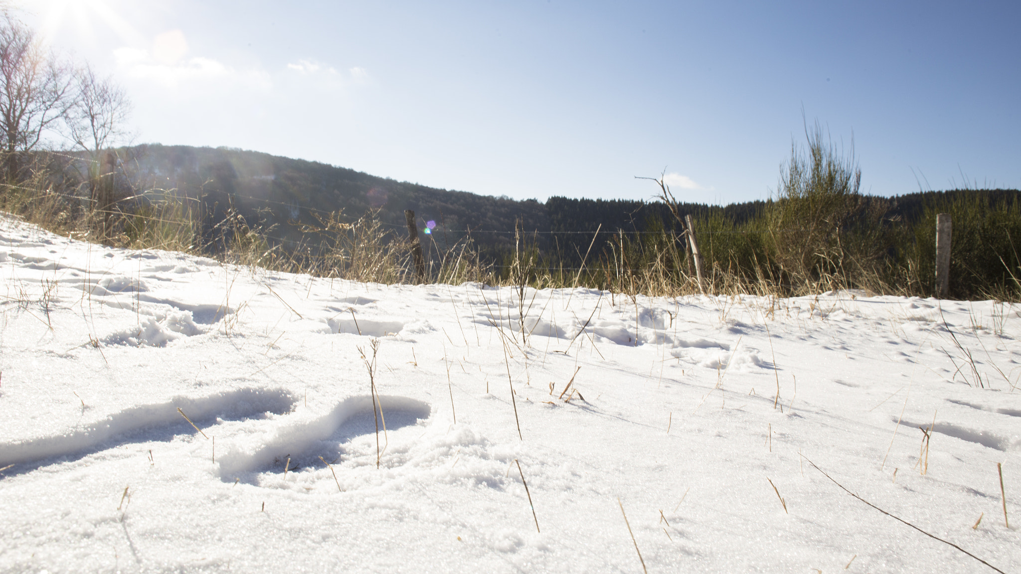 Canon EF 22-55mm f/4-5.6 USM sample photo. Glittering snow photography