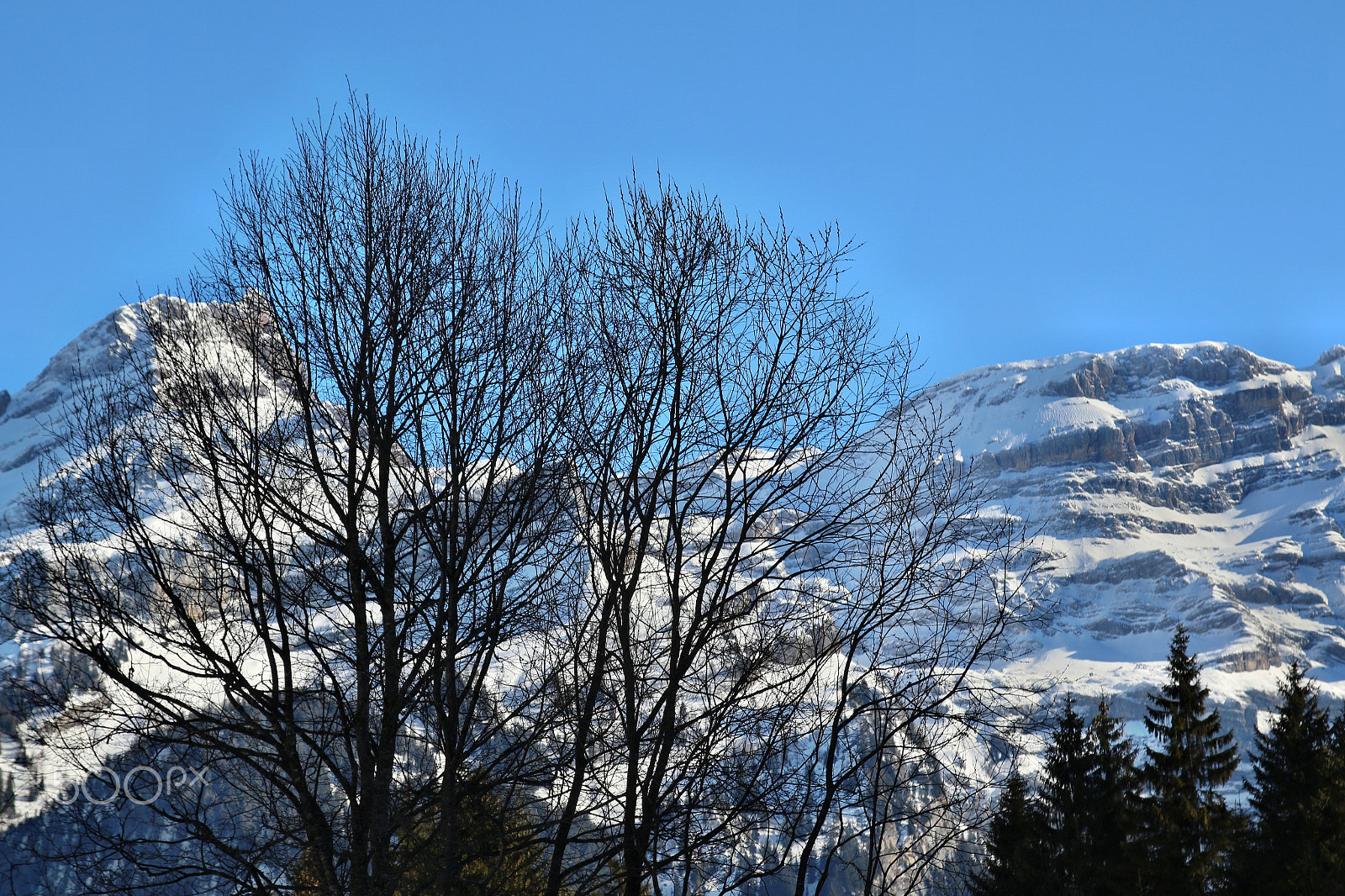 Sigma 17-70mm F2.8-4 DC Macro OS HSM sample photo. Swissalps by willie b photography