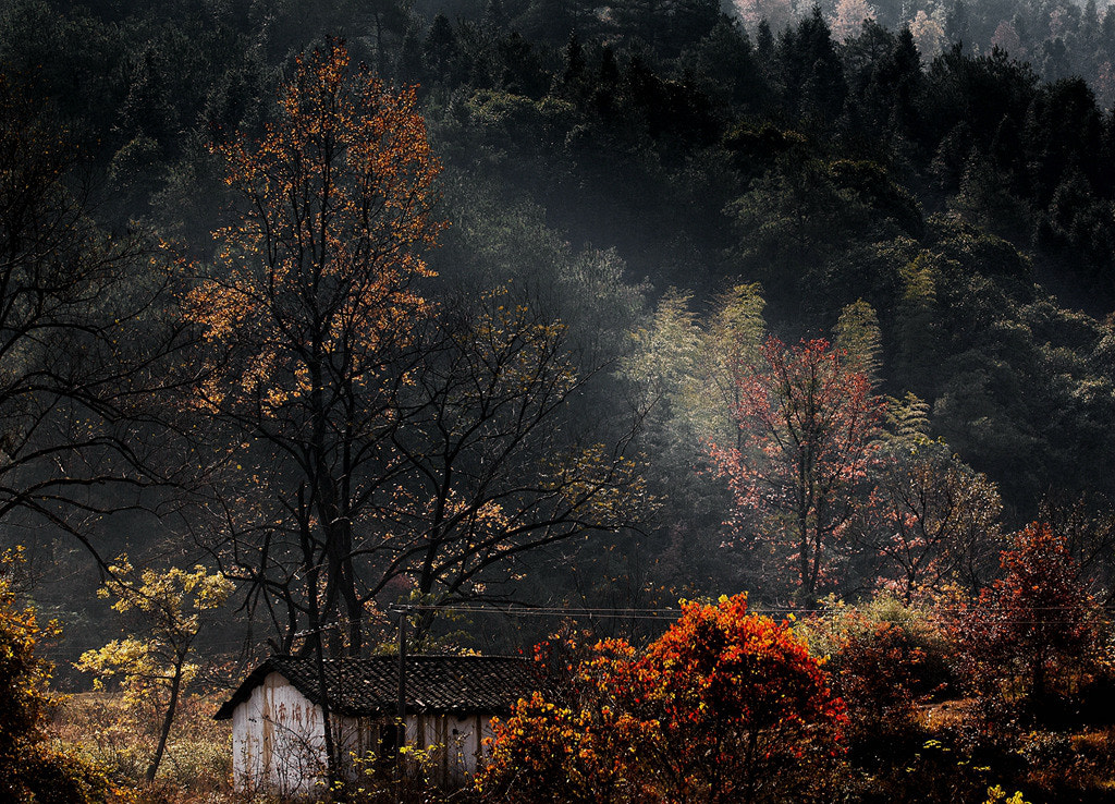 Canon EOS 70D + Canon EF 70-200mm F4L USM sample photo. () photography