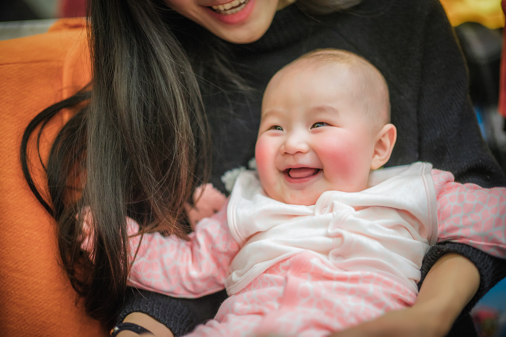 Sony Planar T* 50mm F1.4 ZA SSM sample photo