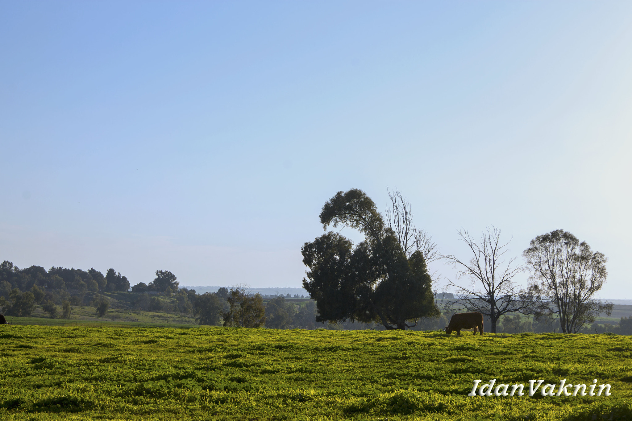 Canon EF-S 18-135mm F3.5-5.6 IS sample photo. Darom adom photography