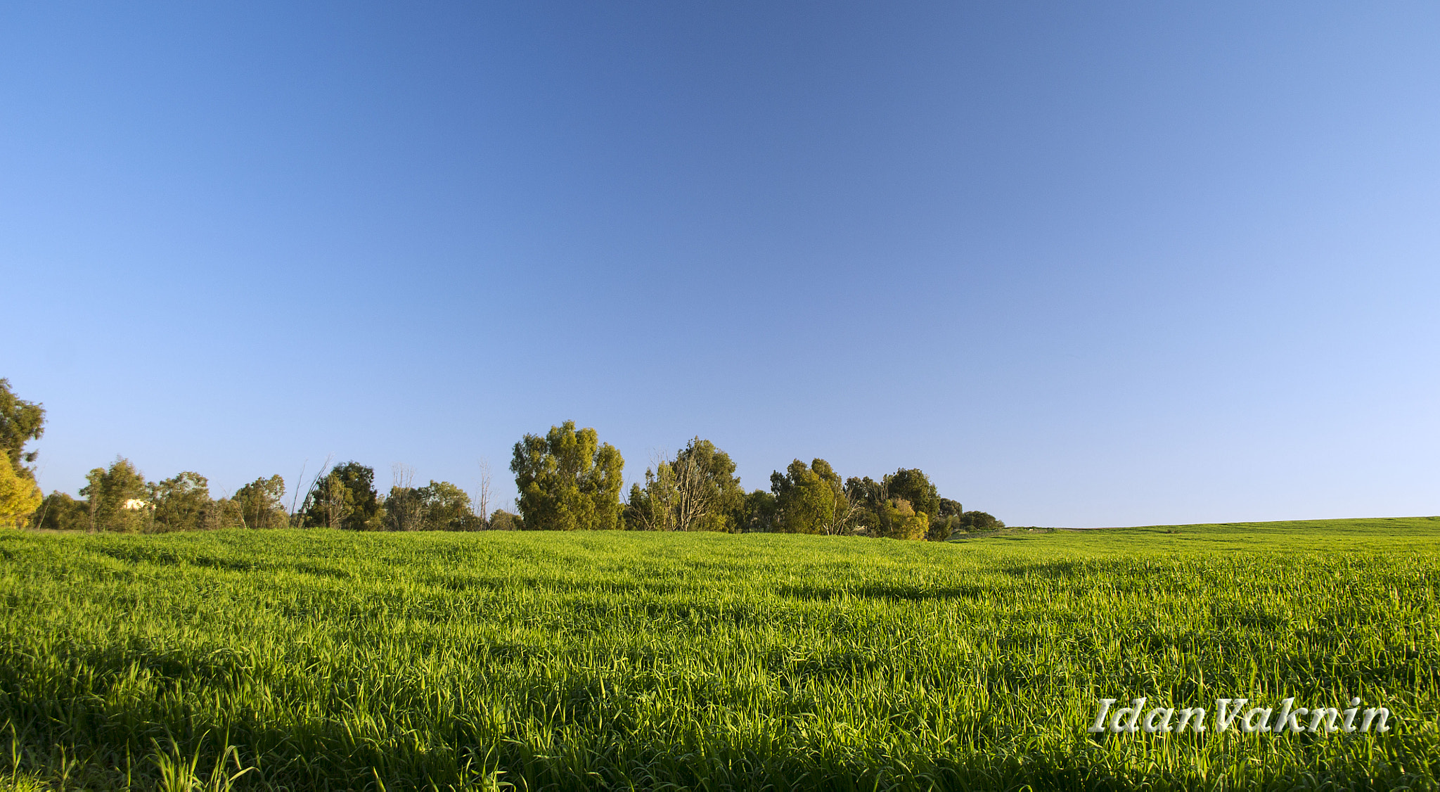 Canon EF-S 18-135mm F3.5-5.6 IS sample photo. Darom adom photography