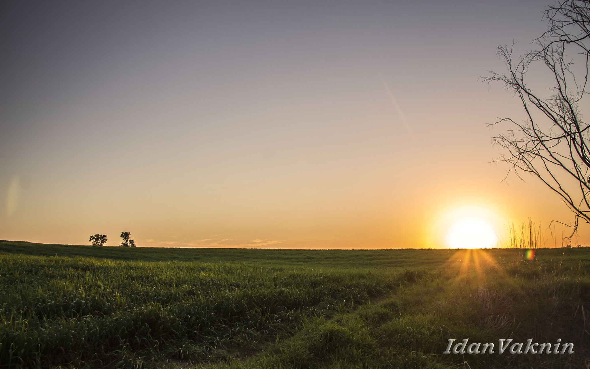 Canon EF-S 18-135mm F3.5-5.6 IS sample photo. Darom adom photography