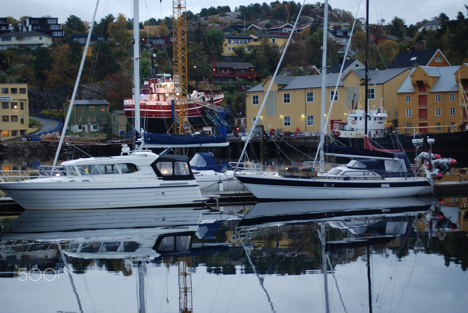 Nikon D80 sample photo. W.t.rolfsen photography