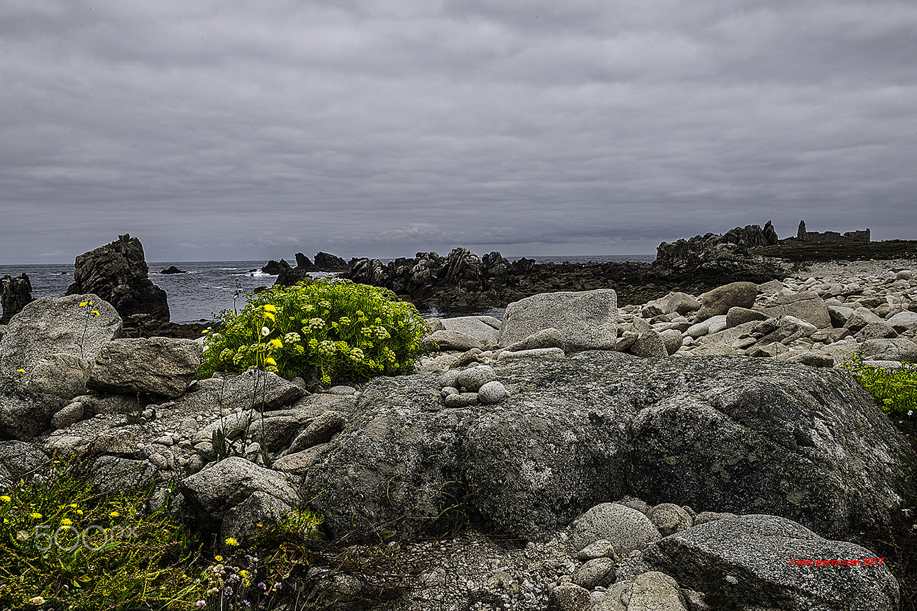 Nikon D5 sample photo. Ouessant photography