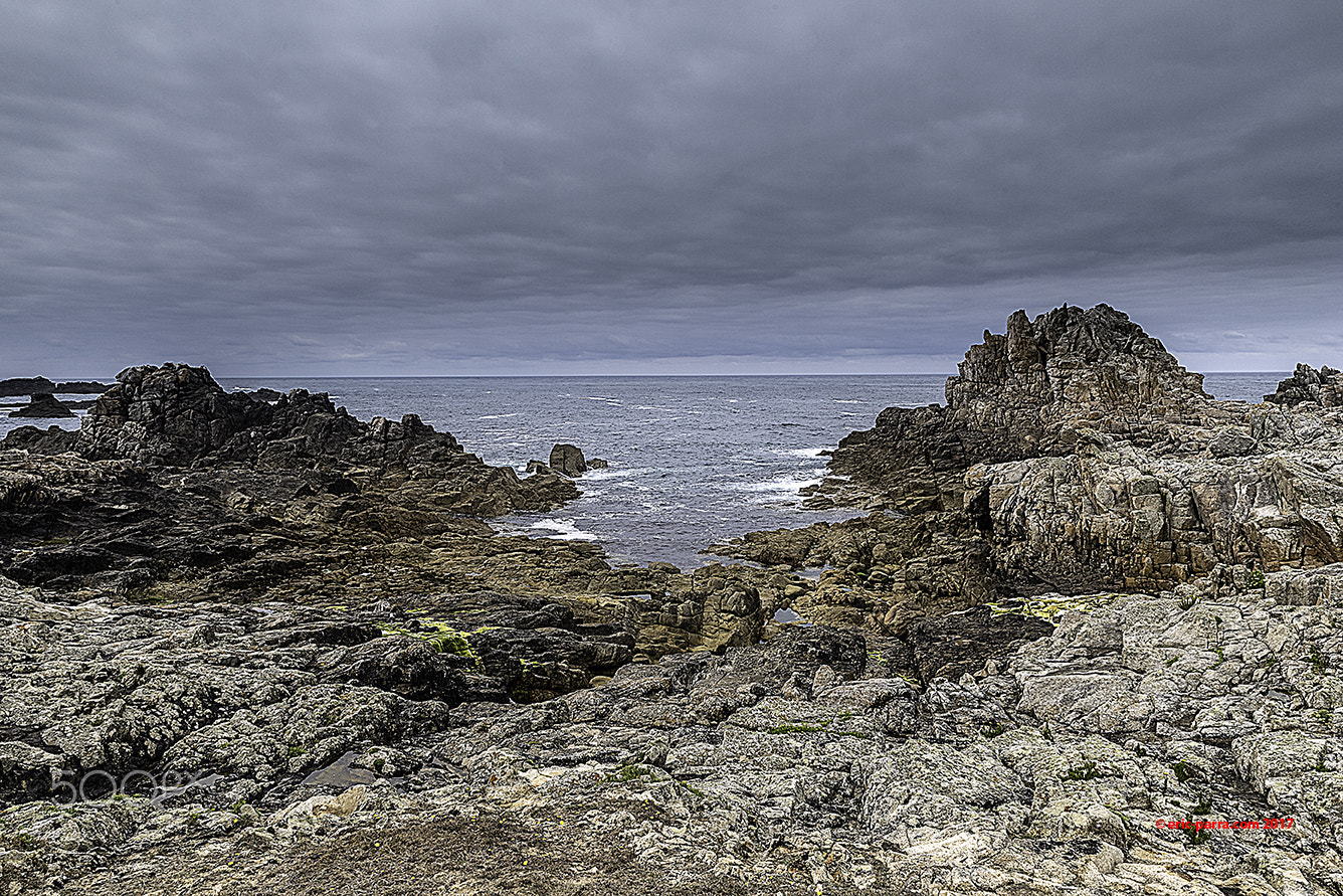 Nikon D5 sample photo. Ouessant photography
