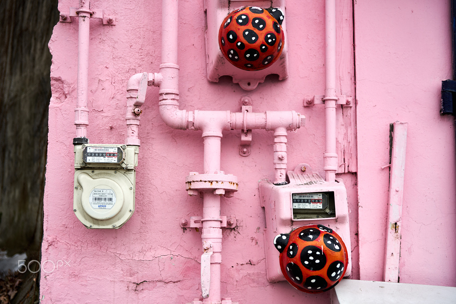 Sony a99 II sample photo. Ladybug photography