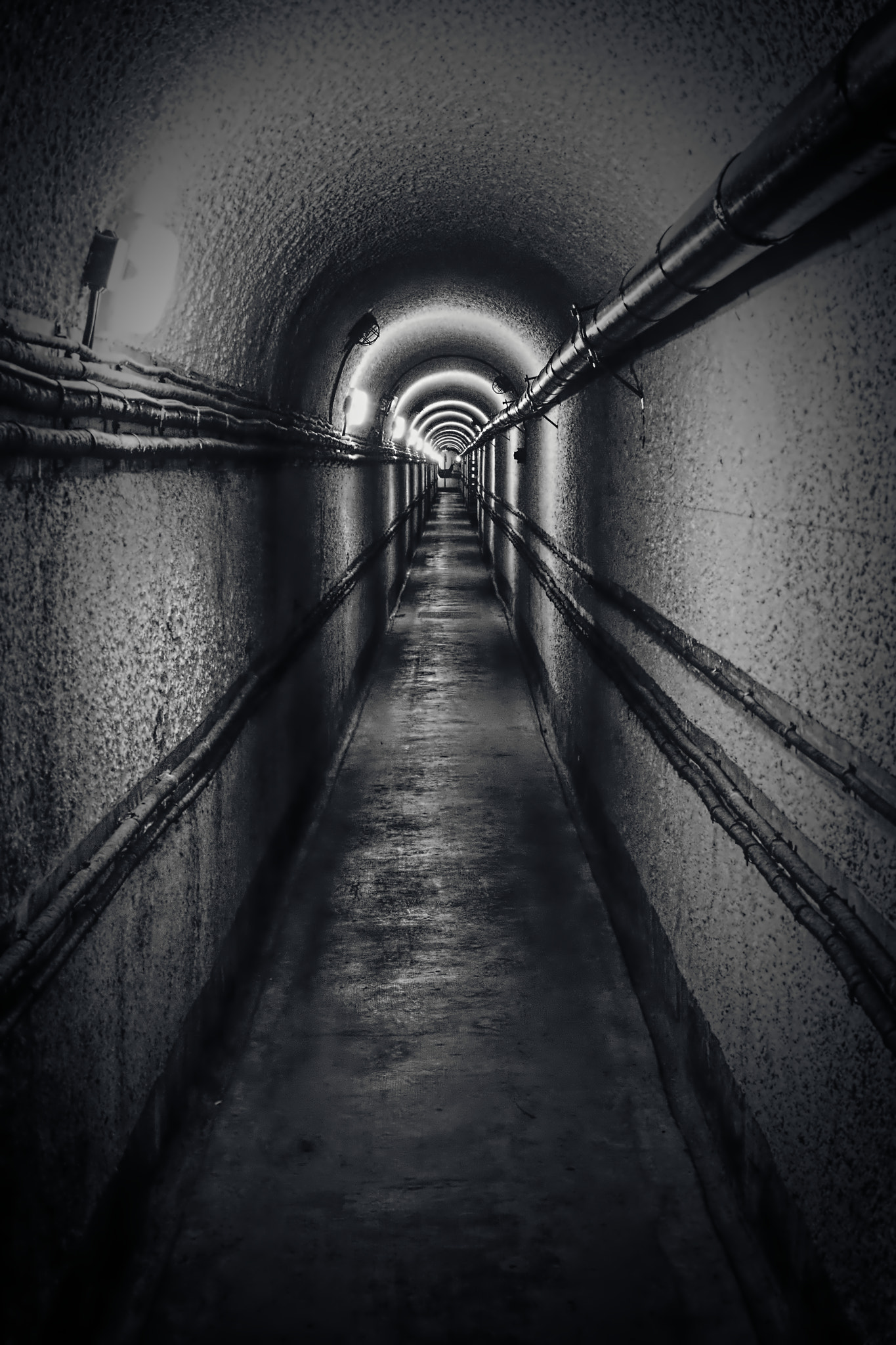 Tamron SP 24-70mm F2.8 Di VC USD sample photo. Inside maginot line photography