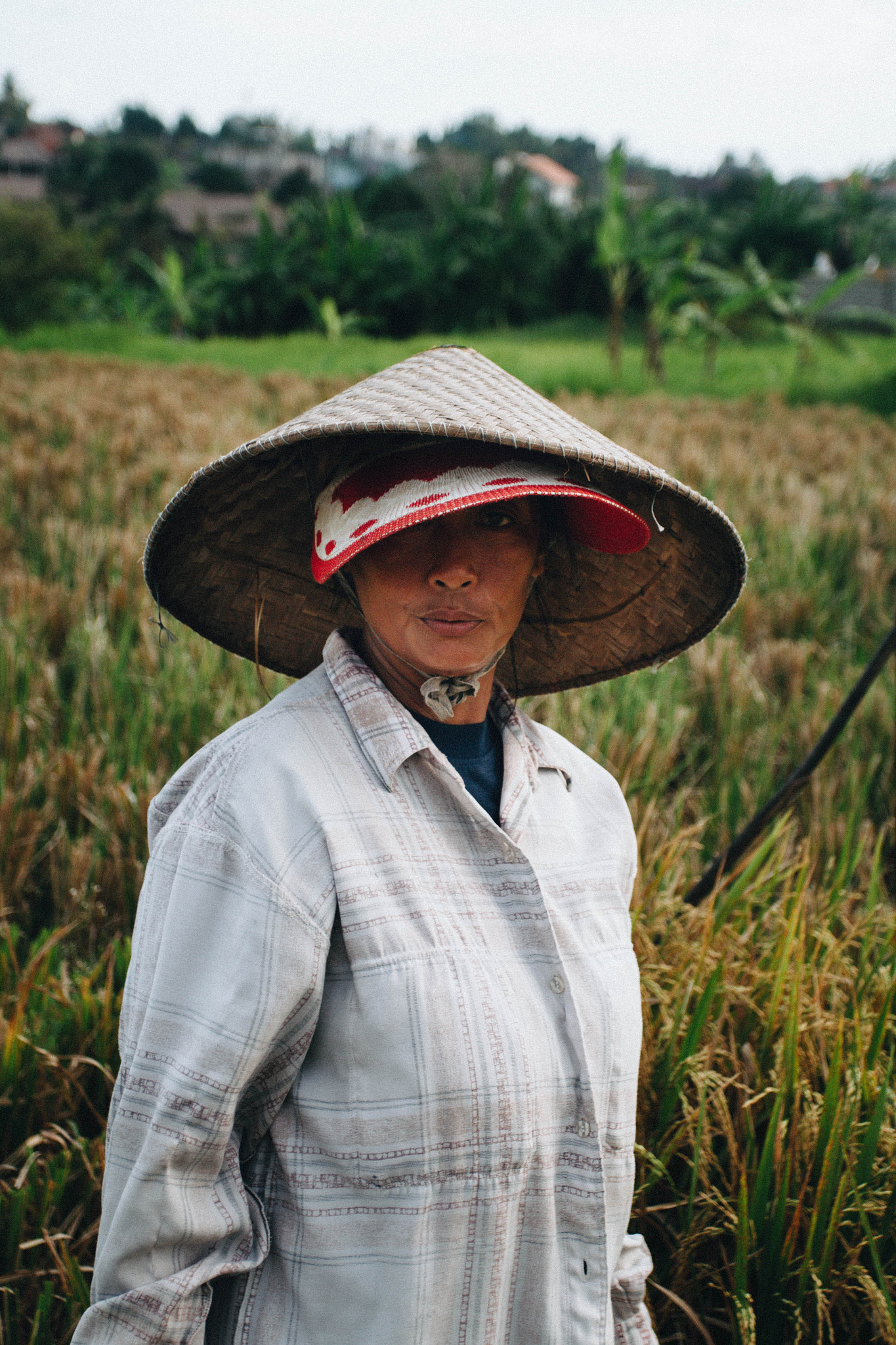 Canon EOS 60D + Canon EF 17-40mm F4L USM sample photo. Woman and rice fields photography