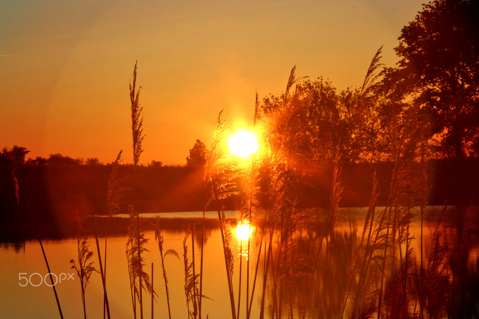 Canon EF-S 18-200mm F3.5-5.6 IS sample photo. Golden sunrise photography