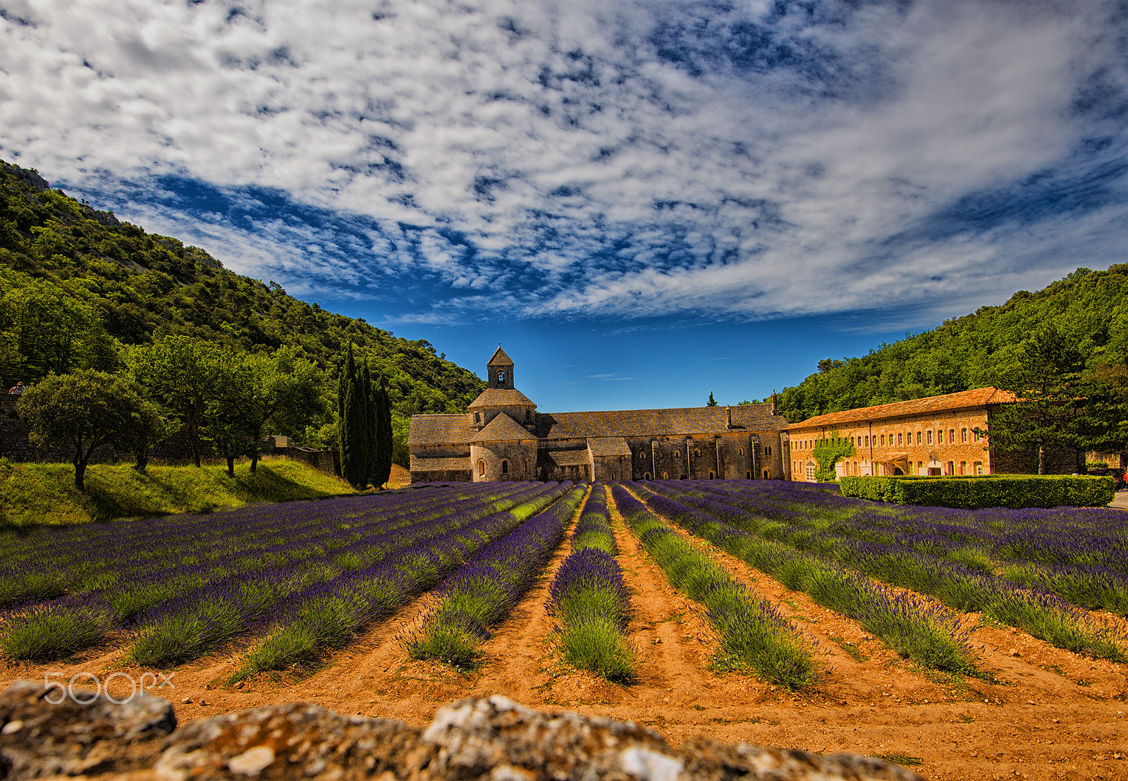 Nikon AF-S Nikkor 16-35mm F4G ED VR sample photo. The abbey of lavender photography