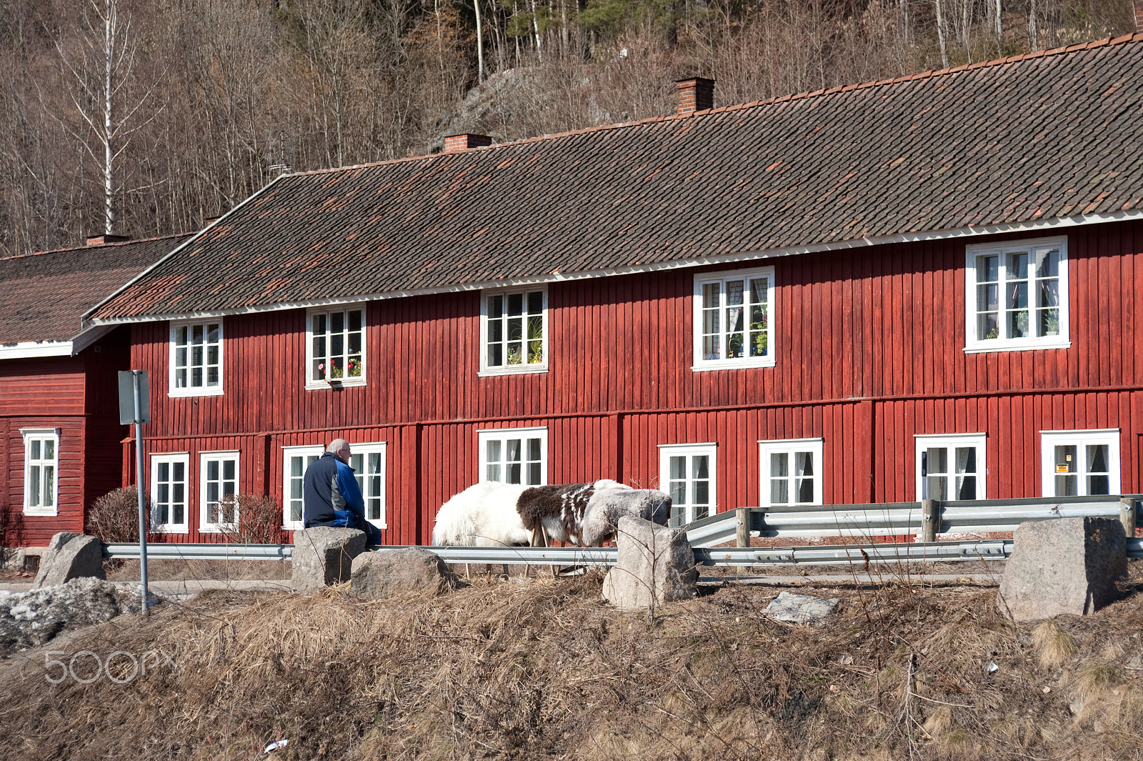 AF Zoom-Nikkor 28-85mm f/3.5-4.5 sample photo. Eidsfoss photography