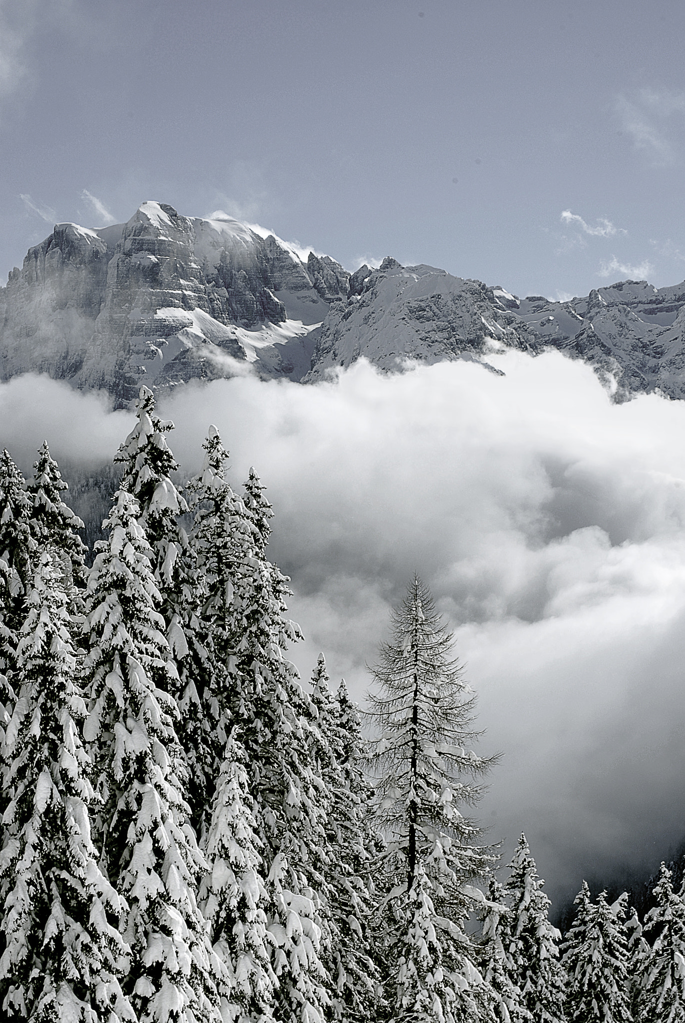 Nikon D80 sample photo. Cima brenta photography