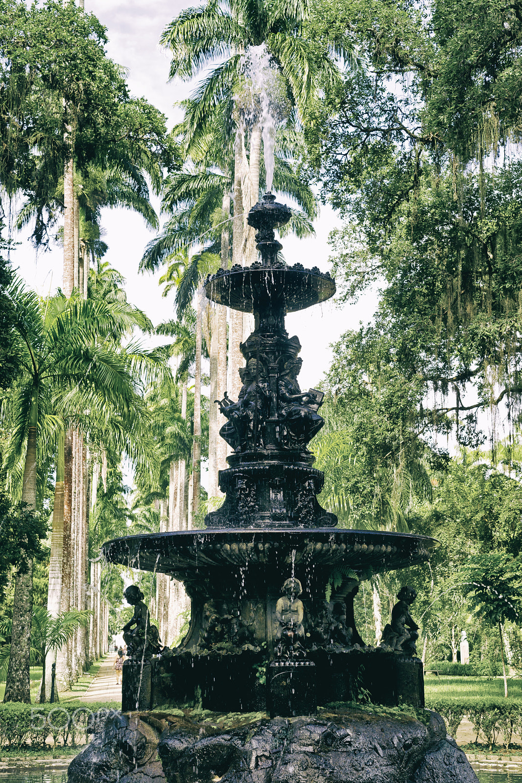 Sony Alpha DSLR-A850 + Minolta AF 50mm F1.7 sample photo. Chafariz no jardim botânico do rio de janeiro photography