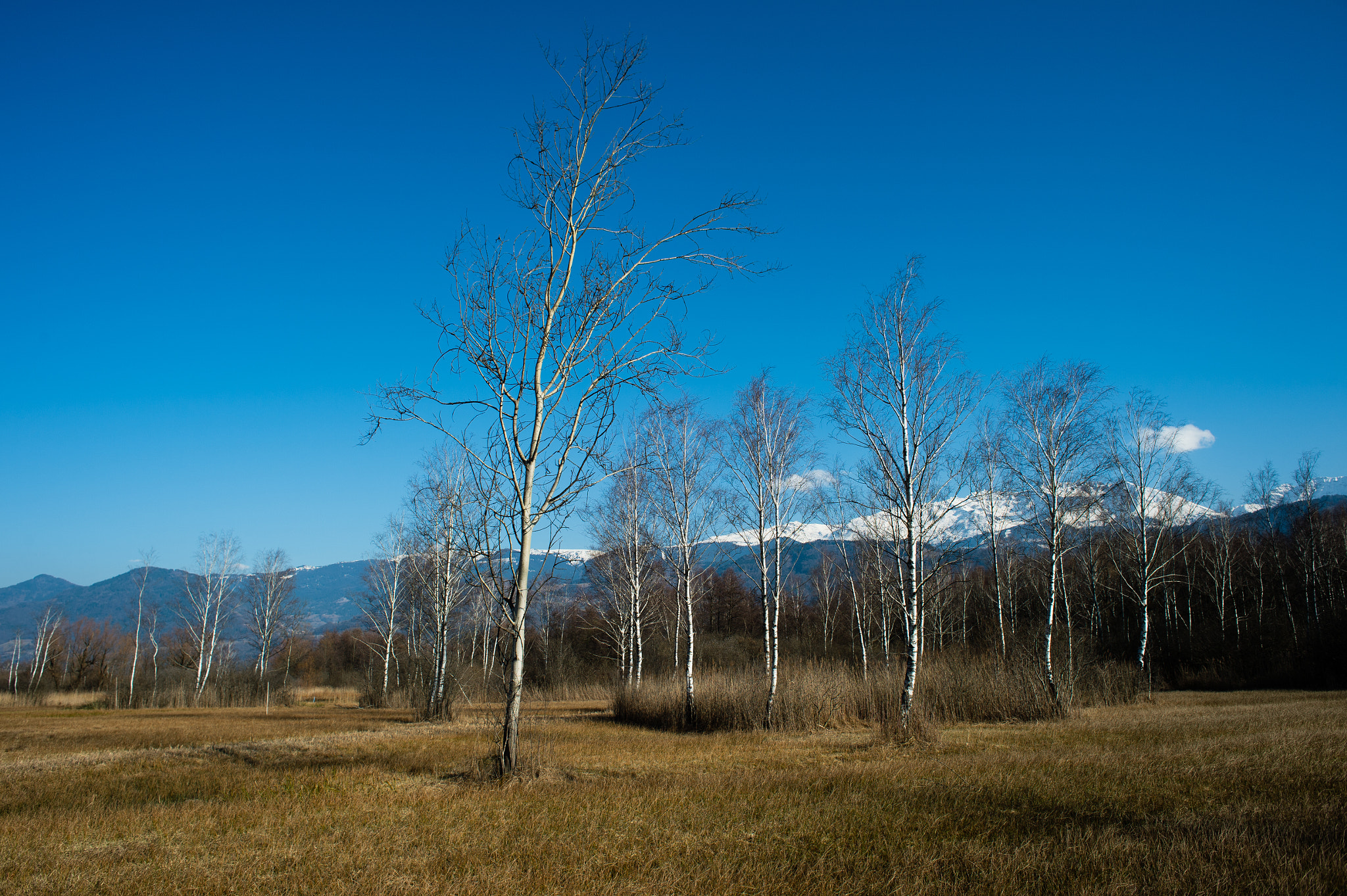 Nikon Df + Nikon AF Nikkor 24mm F2.8D sample photo. Dsc photography