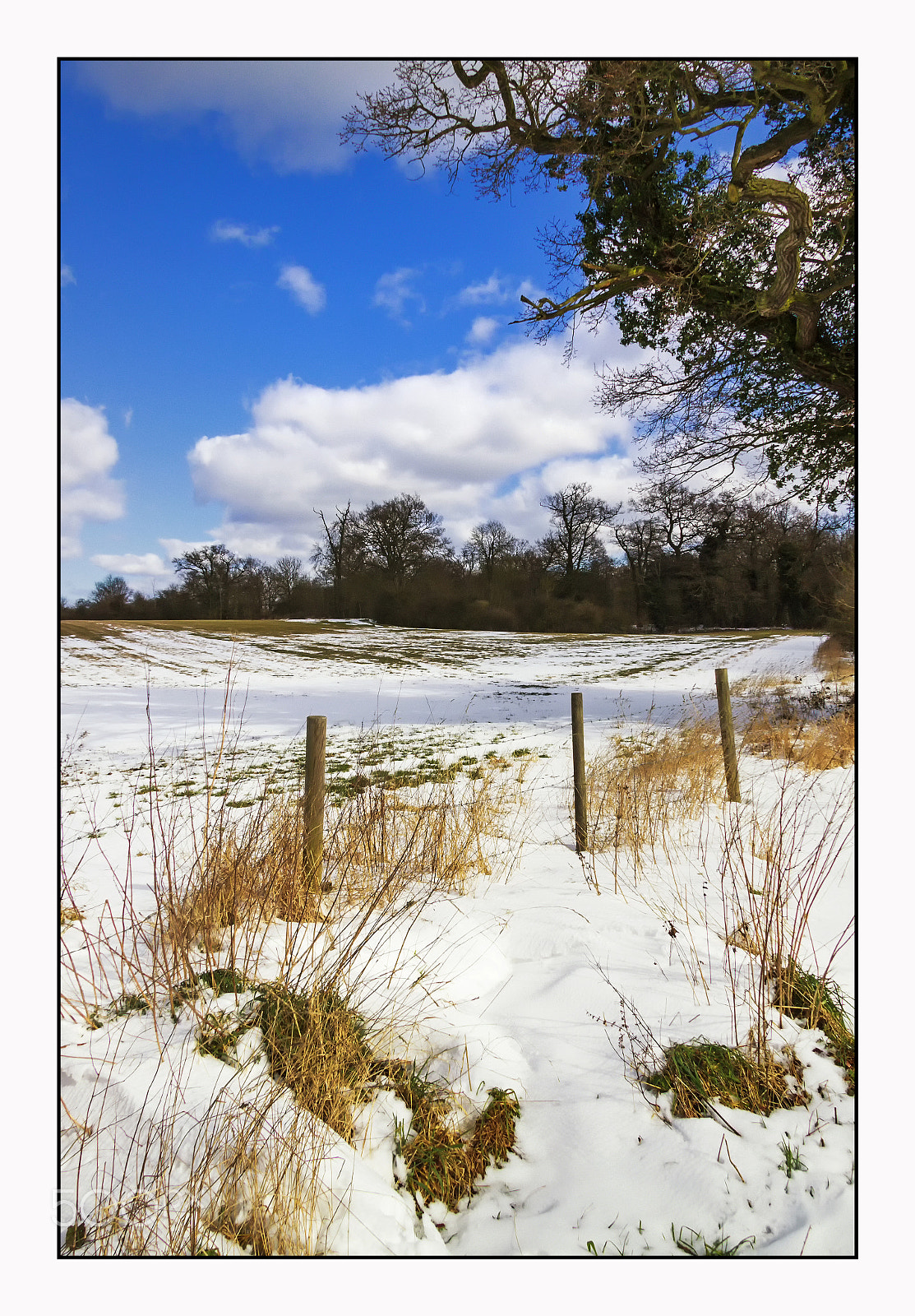 Canon EF-S 17-85mm F4-5.6 IS USM sample photo. Winter in copford photography